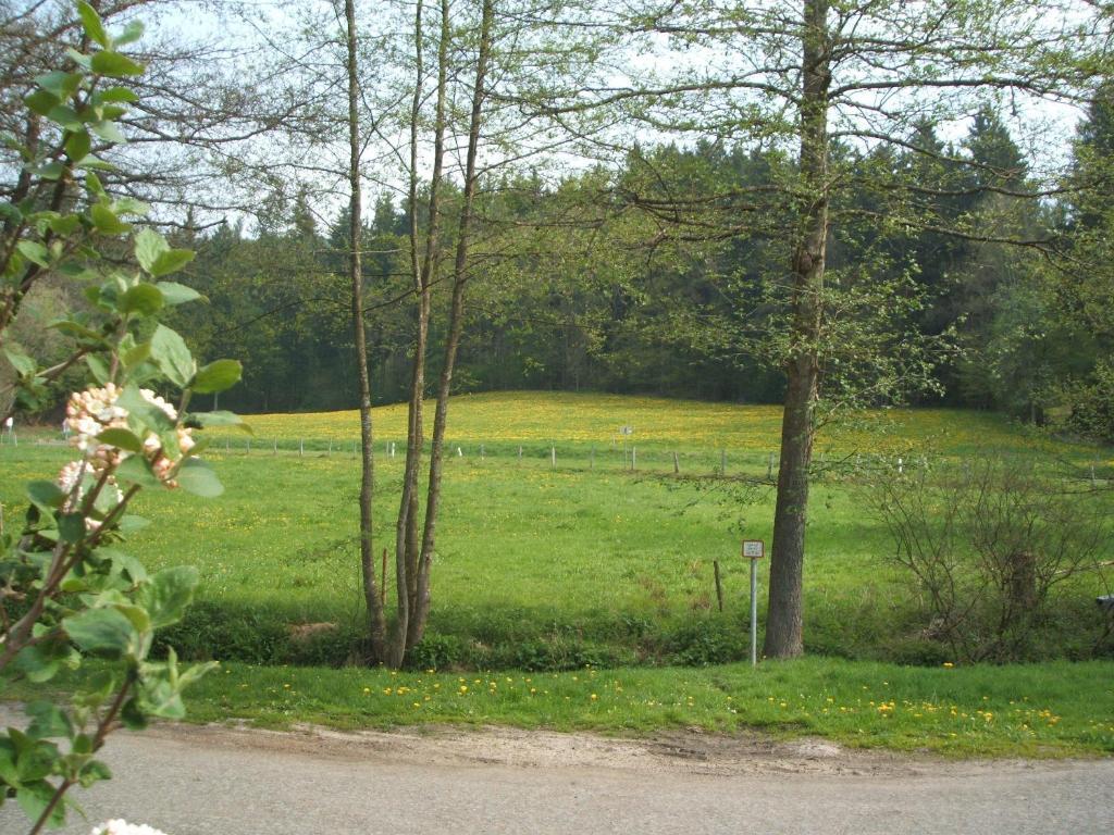 Gasthof & Landhotel Ohrnbachtal Weilbach Exterior foto